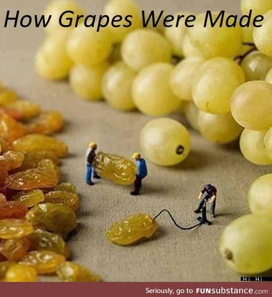 Grape workers