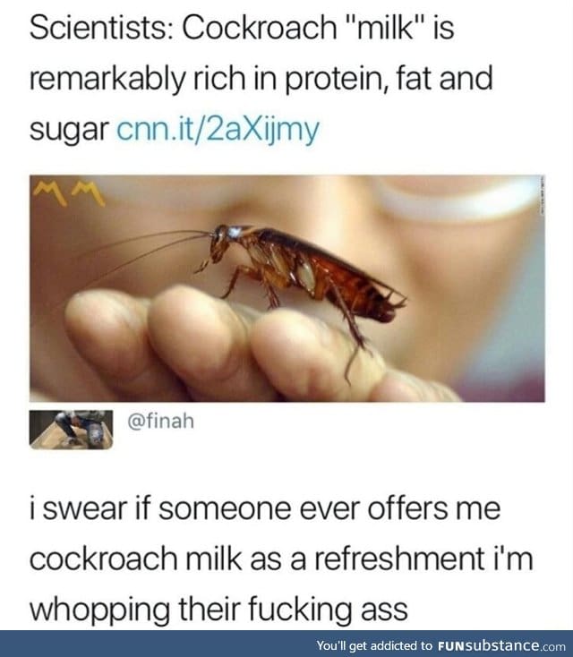 I didn't know c*ckroach had t*tties for milk