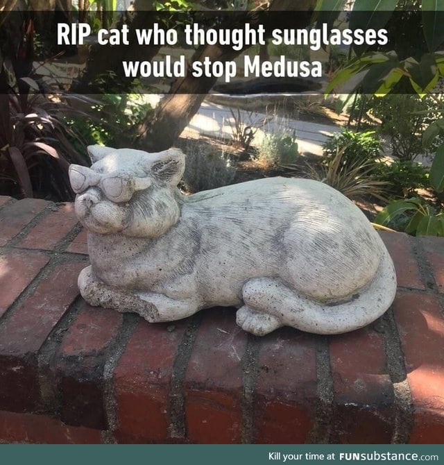 Rip cat