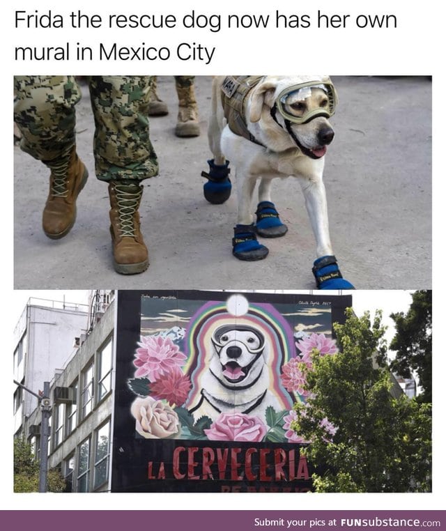 Frida es un Bueno Niña