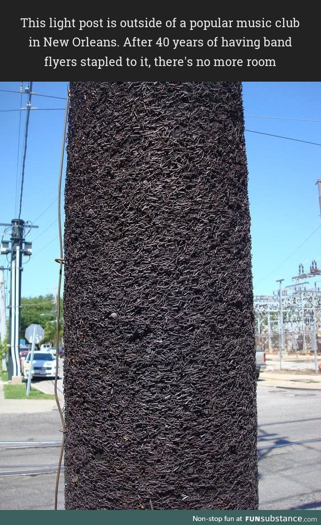 A light post full of staples