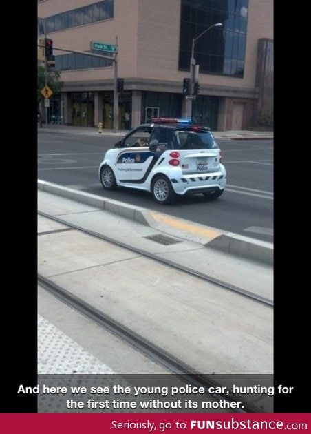 Young police car in the wild