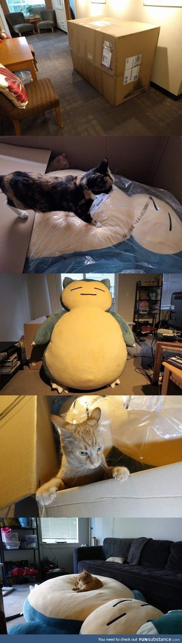 Cat and Snorlax bean bag