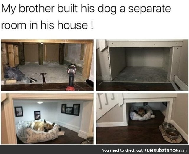 A comfy dog room