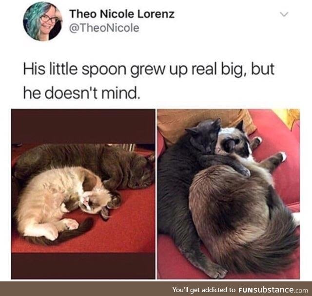 Spoon for life