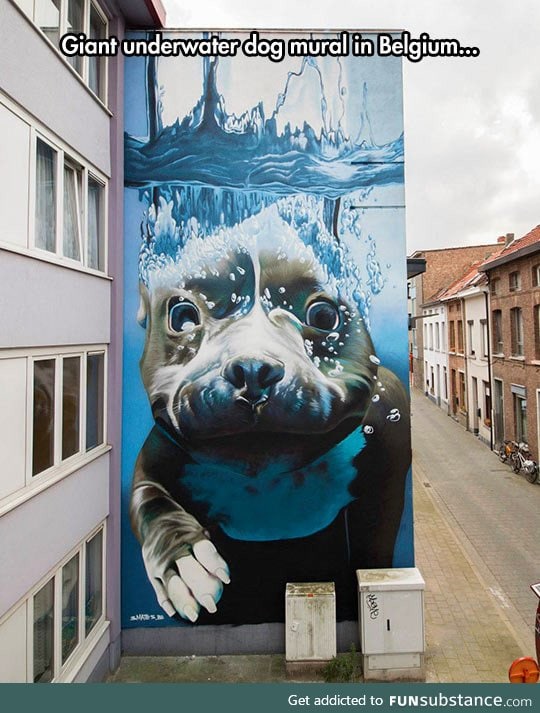 Epic mural in belgium