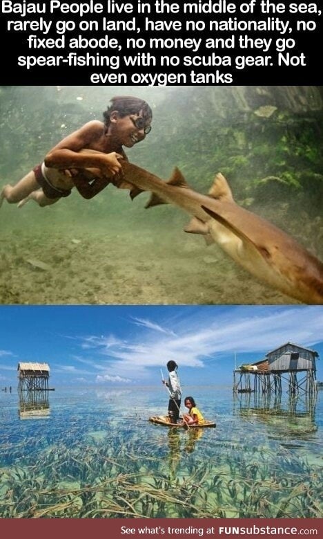 Incredible live of the Bajau People