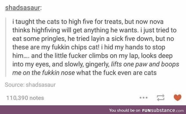 cats are ruthless