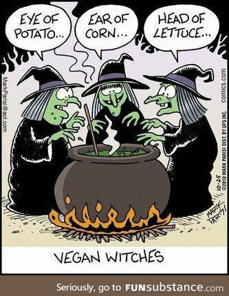 Witches of 2017