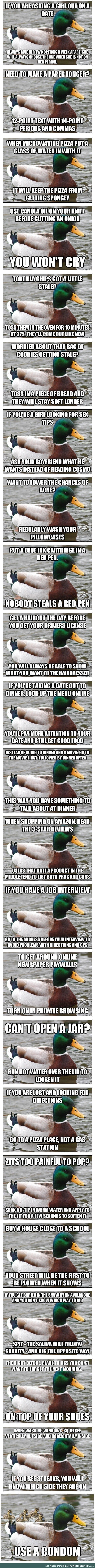 Actual advice mallard comp