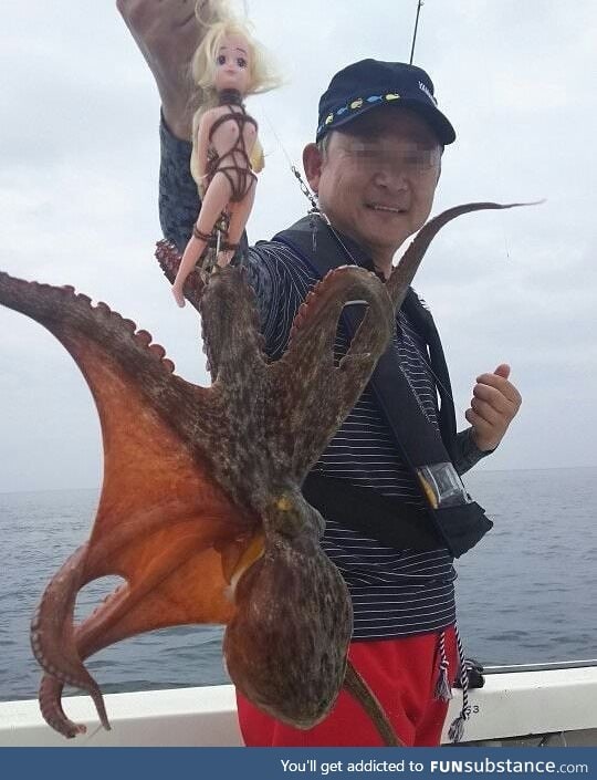 TIL how to catch an Octopus in Japan