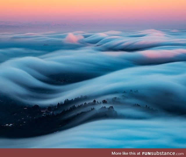 A rolling fog bank