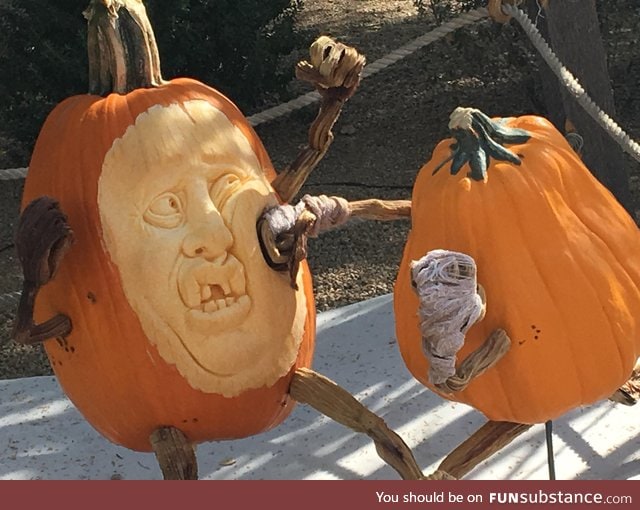 Pumpkin contest had 2 pumpkins boxing each other!