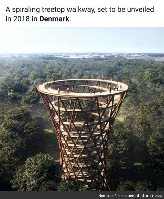 Spiraling treetop in Denmark