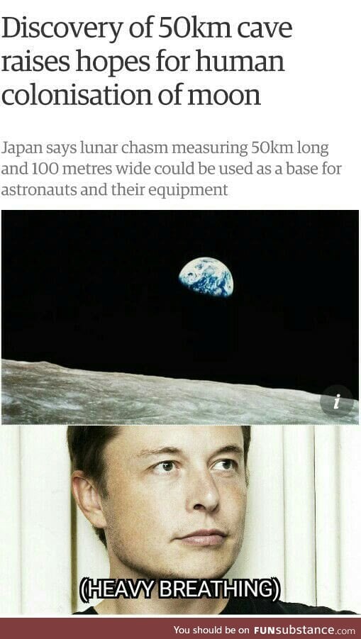 Elon must