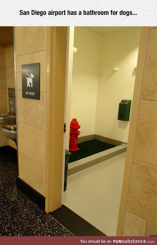 Bathroom for dogs