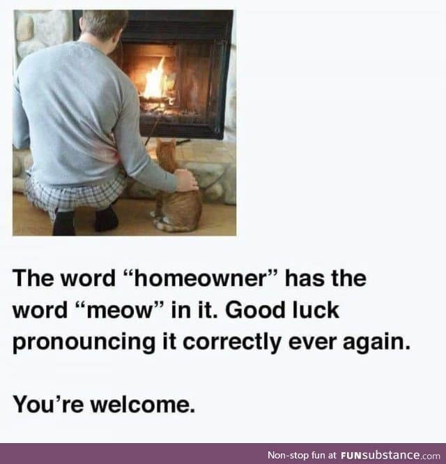 HoMEOWner