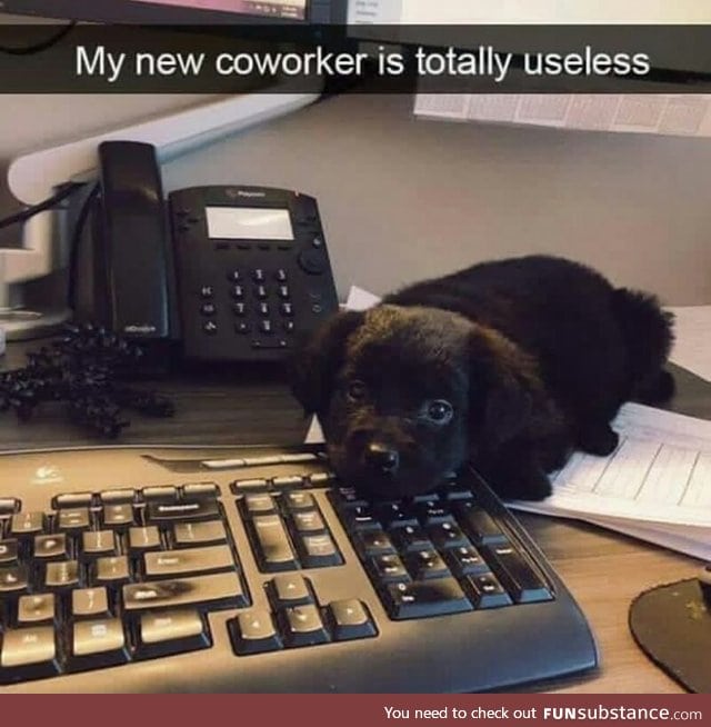 Cute coworker