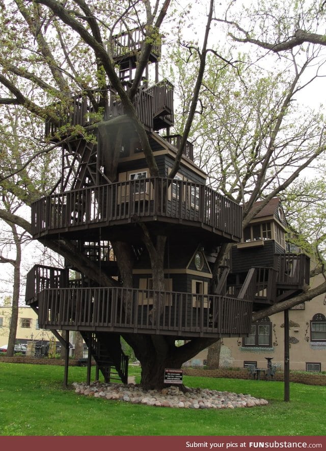 A treehouse