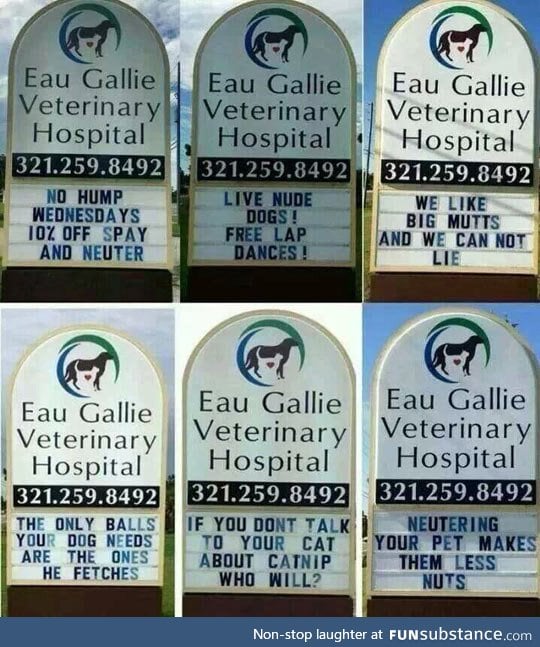 Creative veterinary signs