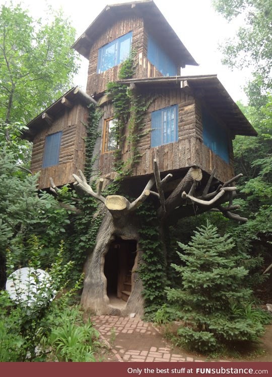 Three story tree house