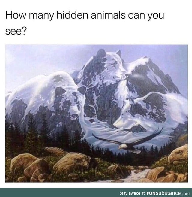 Hidden animals