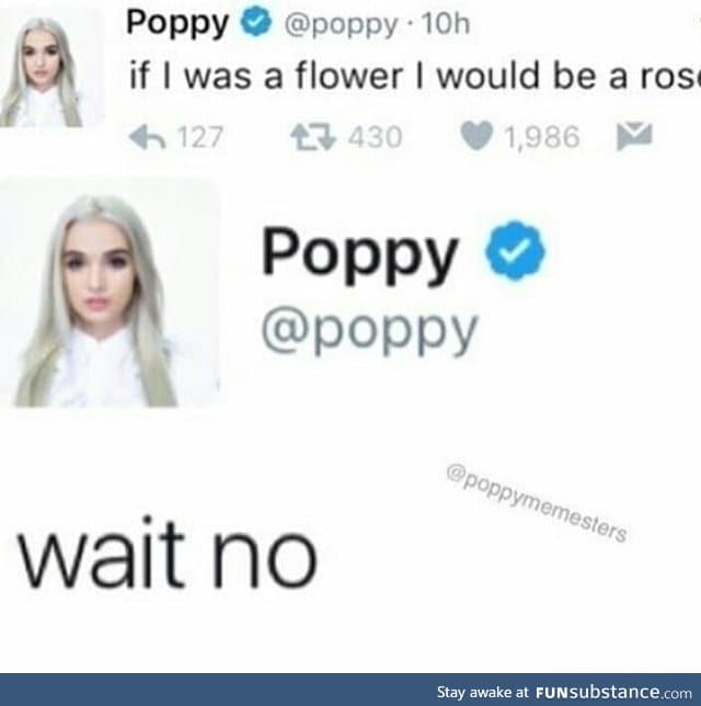 A poppy