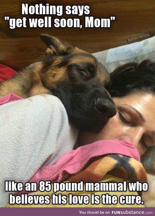 Awwww. Puppy love is the best medicine