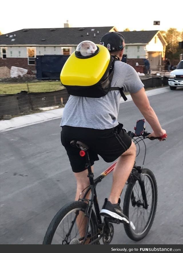 Going on a bike ride with the cat