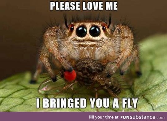 Spider bro just wants love