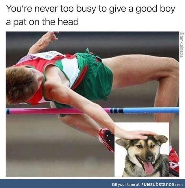 Good boi