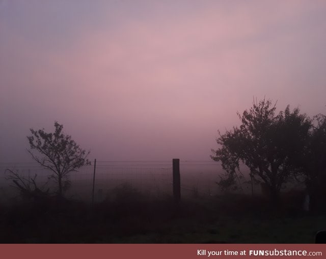 Sunrise with fog looks hauntingly beautiful