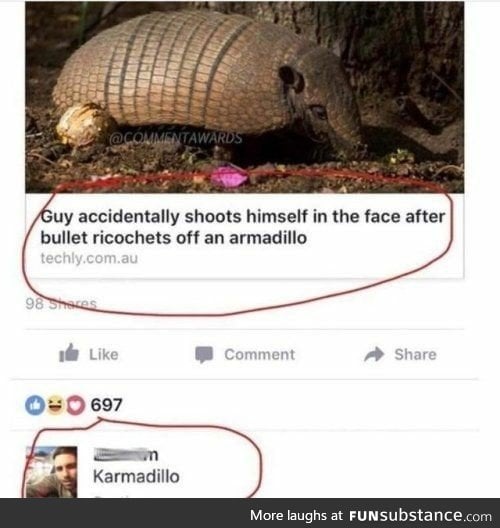 Karma(dillo)