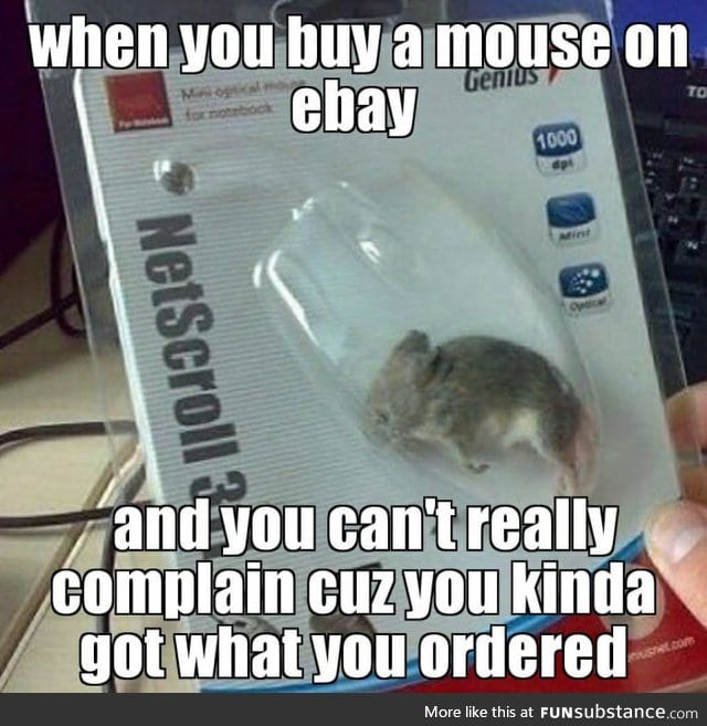 Deadmouse