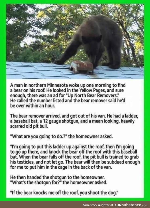 Bear removal