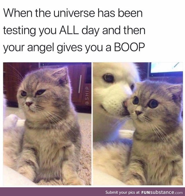 Boop