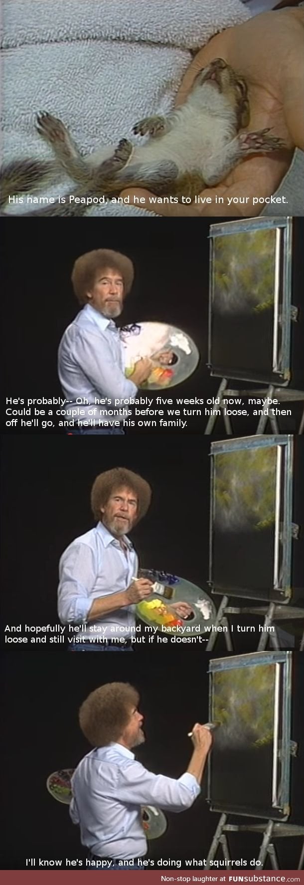 Bob Ross