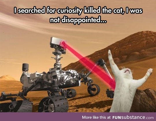 Curiosity killed the cat