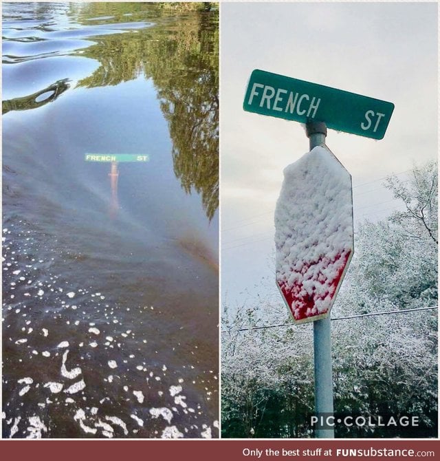 Texas, Bipolar Weather champion