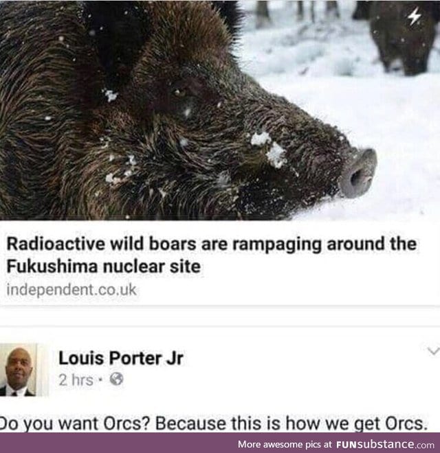 Orcs