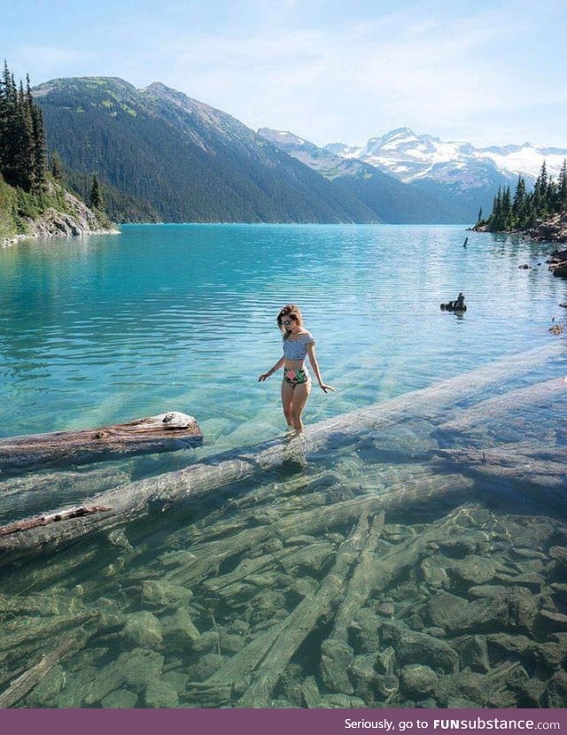 Clear water at Garibaldi provincial park, Canada