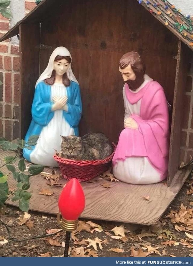 I don't recall baby Jesus having fur