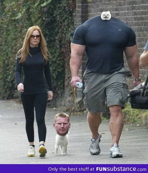 Unexpected faceswap