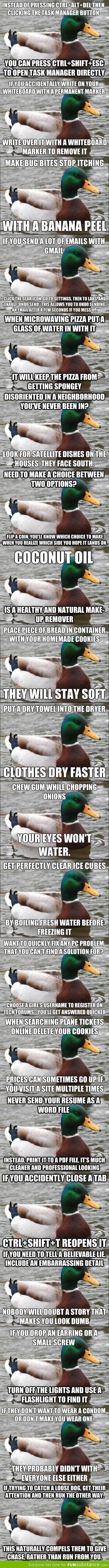 Actual advice mallard comp