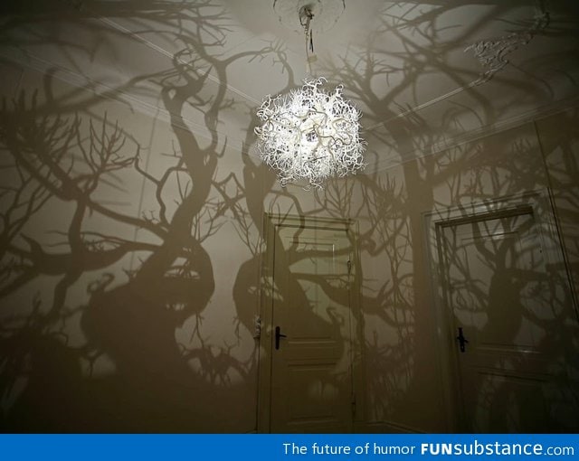 That forest lamp