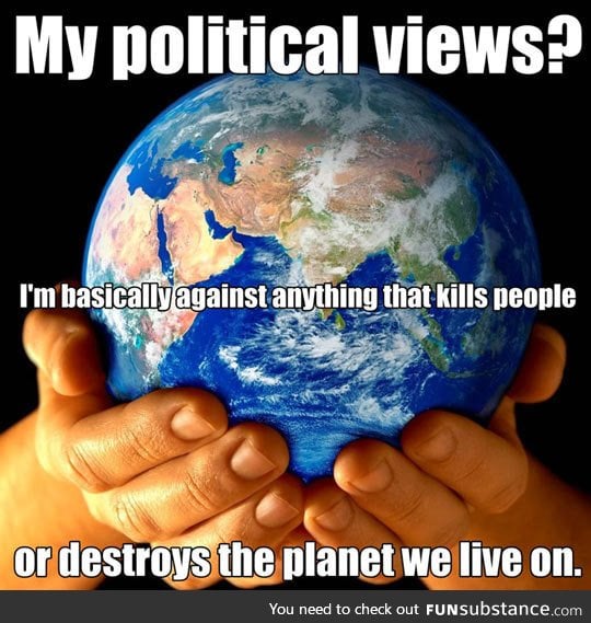 My political views