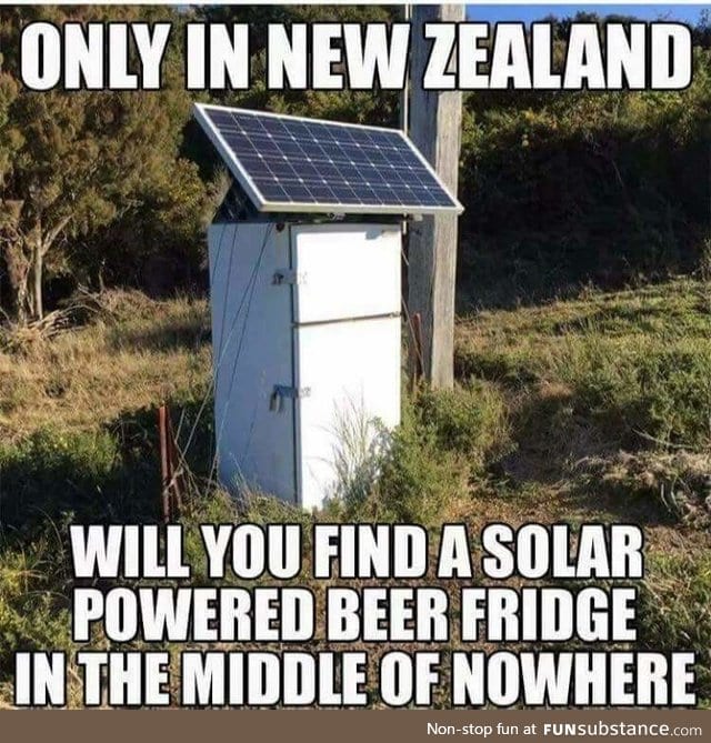 This is the best idea ever... Good ol’ kiwi ingenuity!