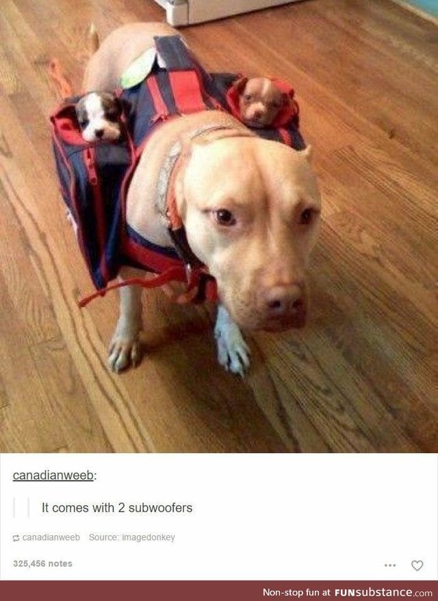 The best kind of woofers