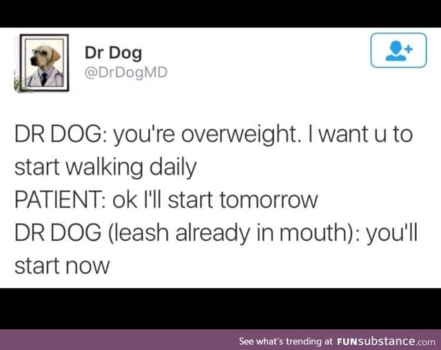 Dr Dog