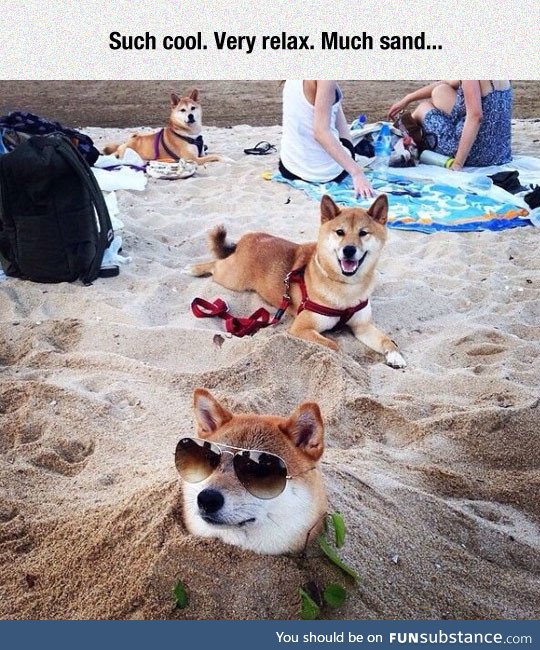 Beach day